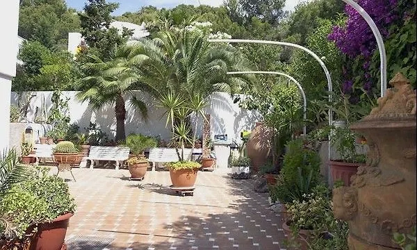 Atalaya Bosque Apartamentos Peguera Spain